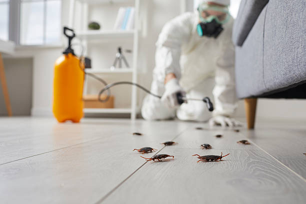 Commercial Kitchen Cockroach Control in Hollister